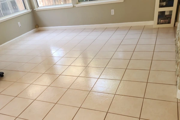 Fanyny Cleaning Services's other services