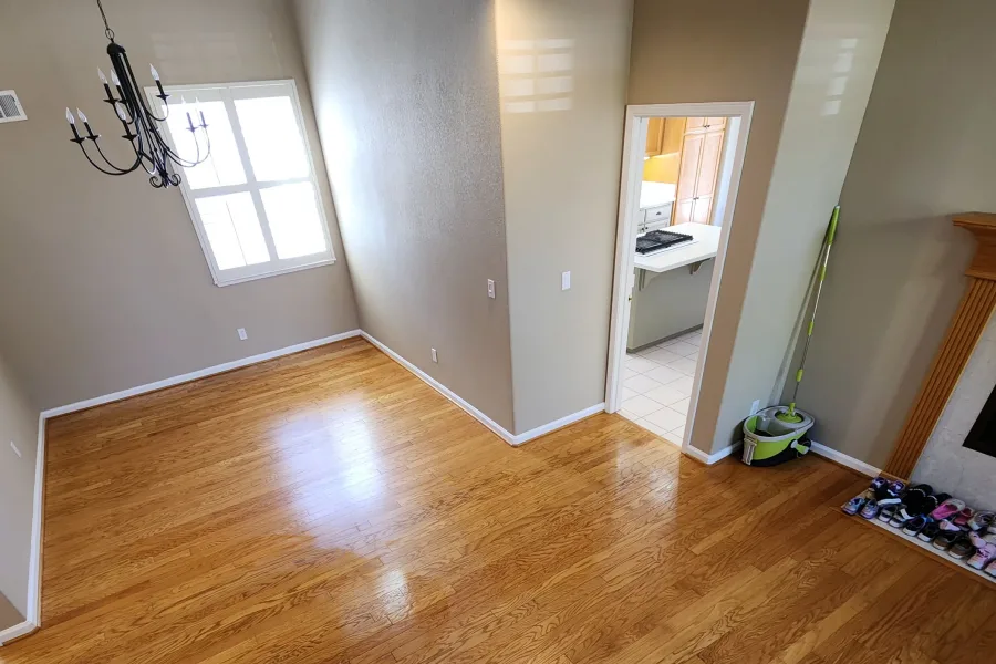 Professional Cleaner